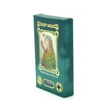 SHEER PURPLE AUTO XXL