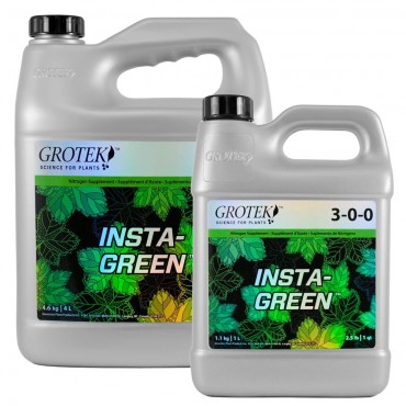 INSTA - GREEN