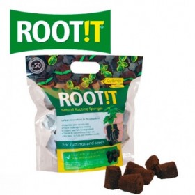 TACOS DE TIERRA ROOT IT 50UN