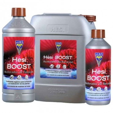 BOOST HESI