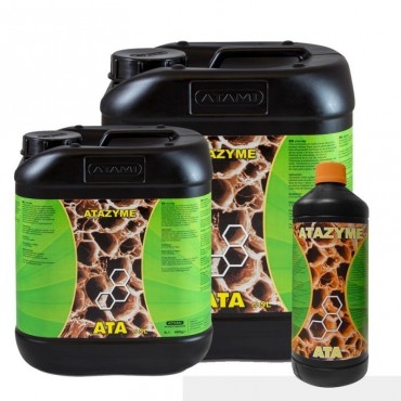 ATA ATAZYME