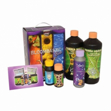 ATA TERRA BLOOMBASTIC BOX