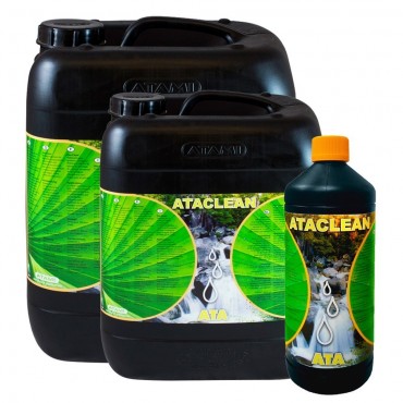 ATA CLEAN